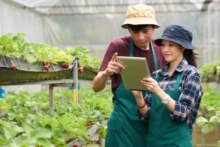Resmi Lowongan Baru Dari Kementan! Berikut Cara Daftar Petani Milineal 2024