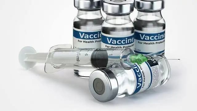 Gerindra Tegaskan Izin BPOM Pastikan Uji Klinis Vaksin TBC Bill Gates Bukan Eksperimen