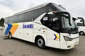 Jalan-jalan ke Malaysia Kini Makin Mudah, Cukup Naik Bus DAMRI Rp 275.000
