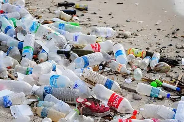 Menteri LH Minta Negara Maju Bantu Atasi Sampah Plastik Jelang Konferensi Global