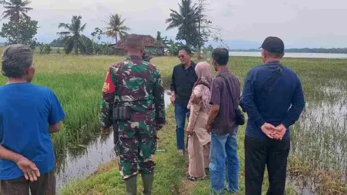 Banjir Purwadadi dan Lakbok, Bupati Ciamis Salurkan Bantuan dan Dorong Penanganan Kesehatan