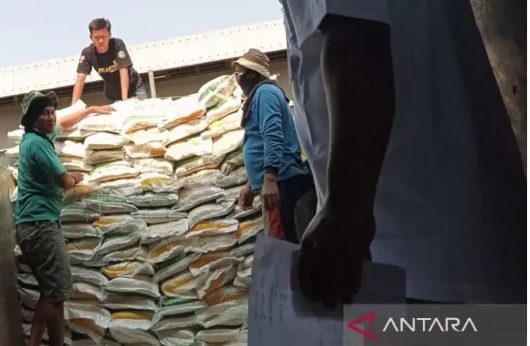 Bulog Cirebon Catat Penyerapan Setara Beras Tertinggi Nasional, Capai 110 Ribu Ton