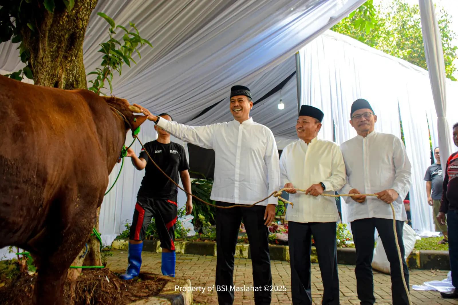 BSI Maslahat Distribusikan 10.344 Hewan Qurban 