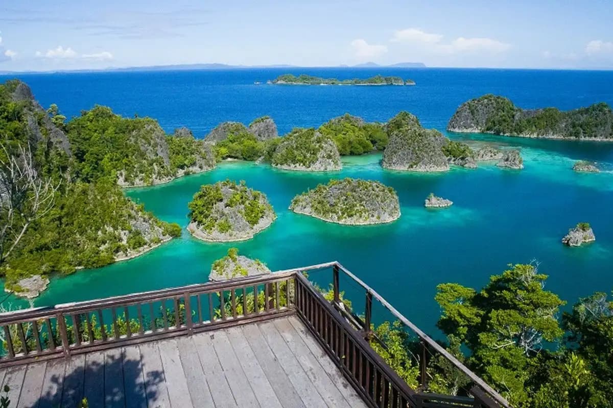 Dinas Pariwisata Raja Ampat Desak Penghentian Tambang Nikel untuk Selamatkan Ekosistem Laut  