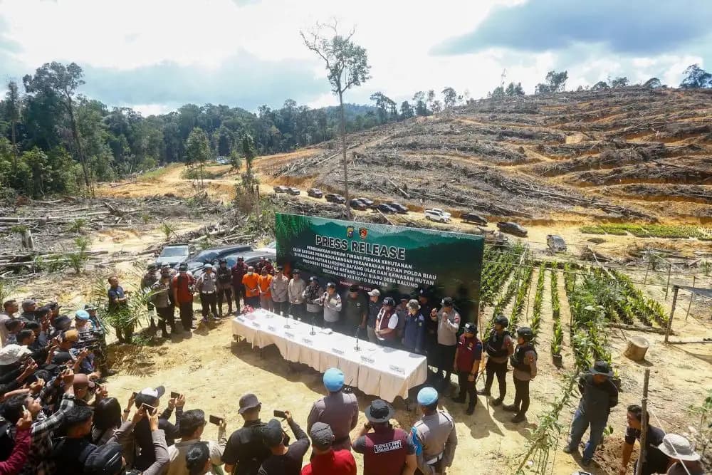 Polda Riau Tangkap Ketua Adat dan Tiga Pelaku Jual-Beli Lahan di Hutan Lindung Kampar