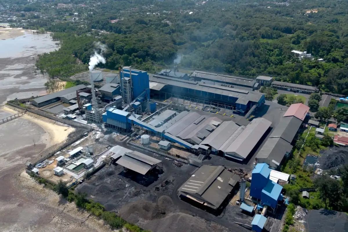 PT Timah (TINS) Bagikan Dividen Rp474,65 Miliar dari Laba 2024  