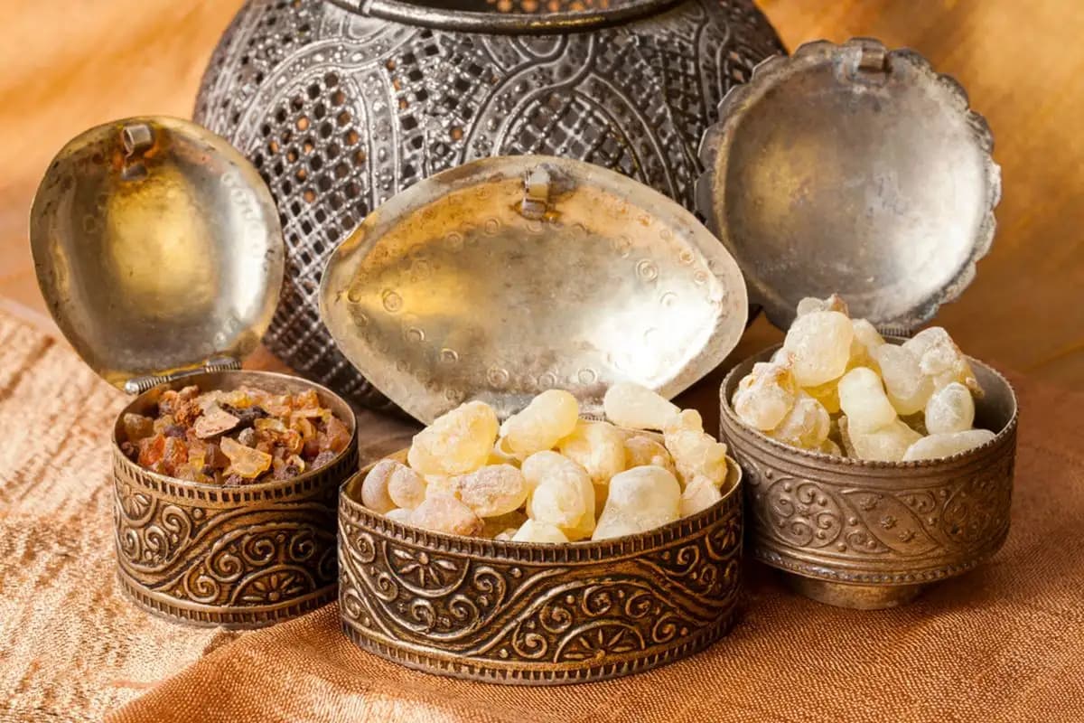 Gibran Soroti Potensi Kemenyan sebagai Bahan Parfum Mewah, Peneliti LIPI Jelaskan Prosesnya  