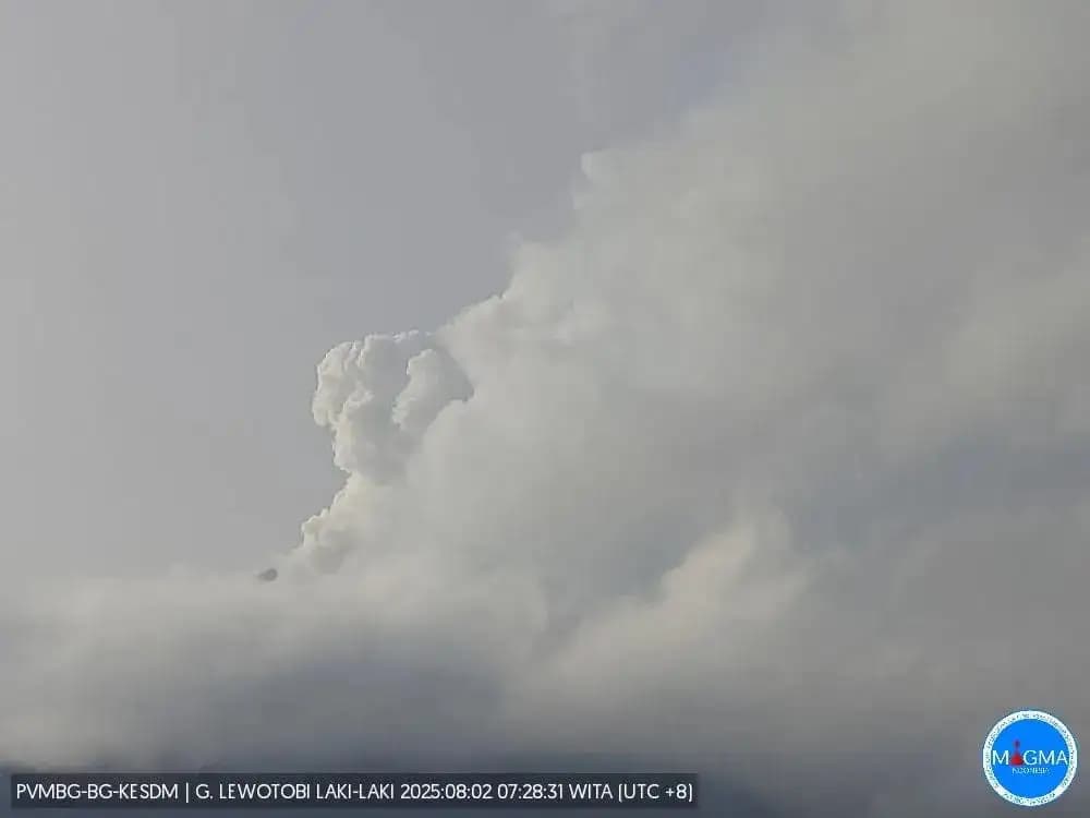 Aktivitas Gunung Lewotobi Laki-laki Masih Tinggi, Warga Diminta Segera Keluar dari Zona Bahaya