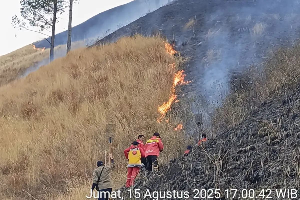 Kebakaran Hutan Lindung di Danau Toba Hanguskan 12 Hektar, Medan Terkendala Pemadaman  