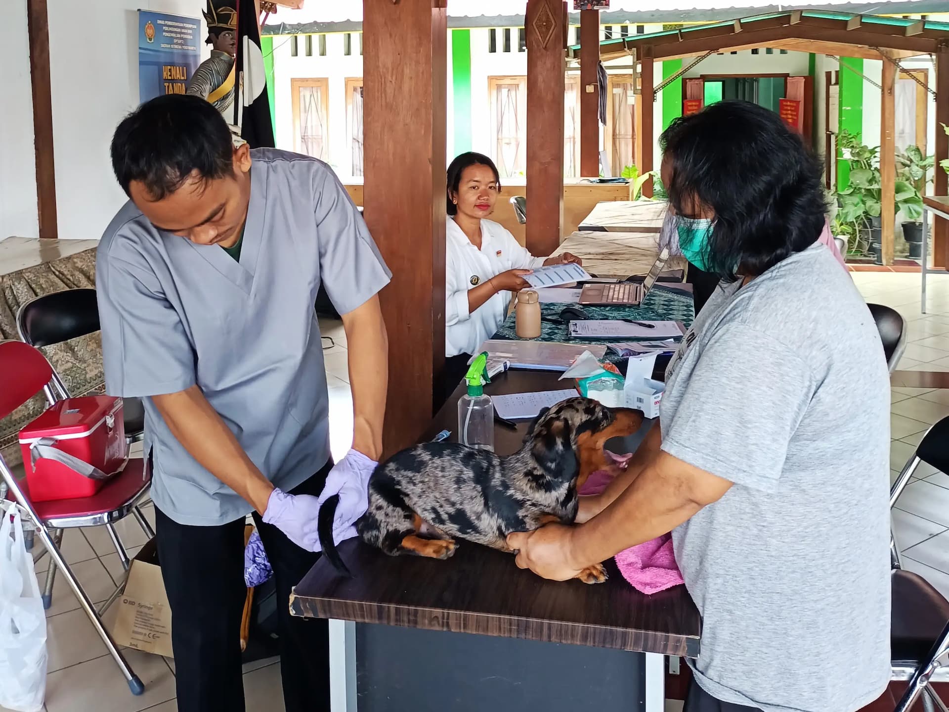 Sepanjang September, Pemkot Yogyakarta Sediakan 3.000 Vaksin Rabies Gratis untuk Hewan Peliharaan