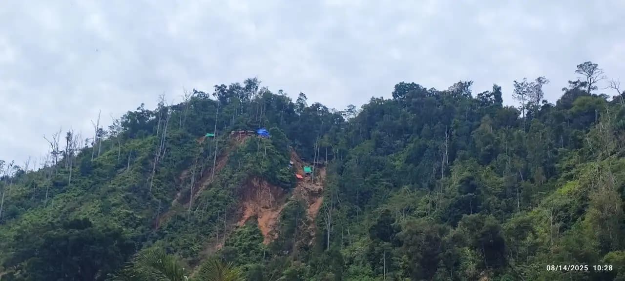 Pemerintah Kuasai Kembali 321 Hektare Tambang Tanpa Izin Pinjam Pakai Hutan