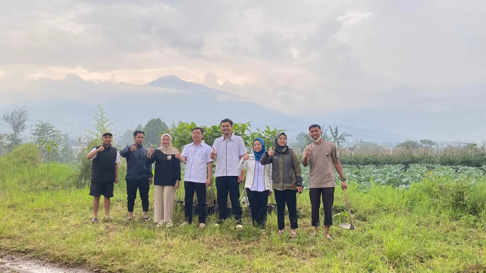 Peduli Lingkungan, BPJamsostek Kota Batu Tanam Tabebuya