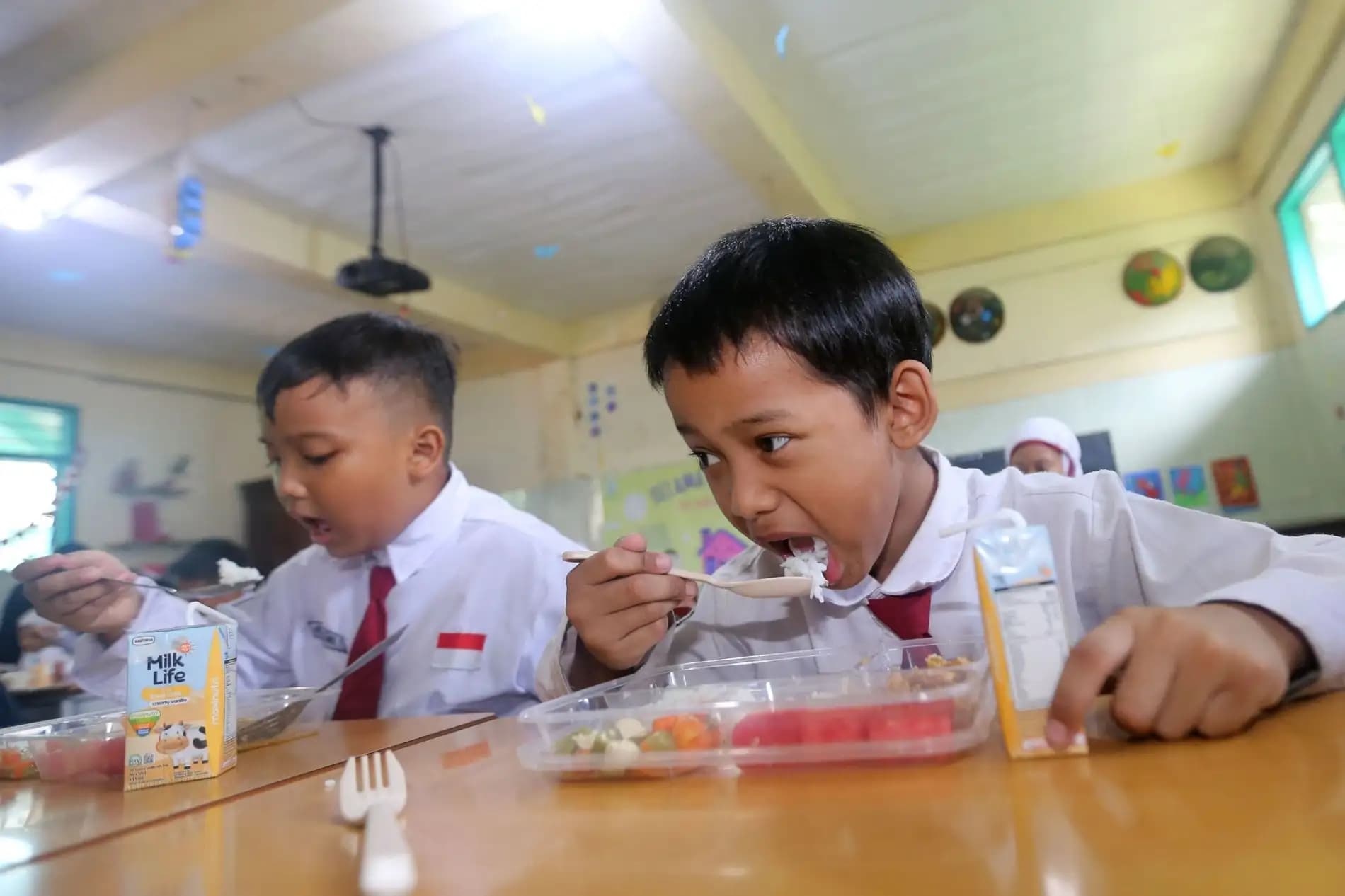 Guru Besar UGM Soroti Masalah Program Makan Bergizi Gratis: Ide Bagus, Tapi Salah di Mekanisme