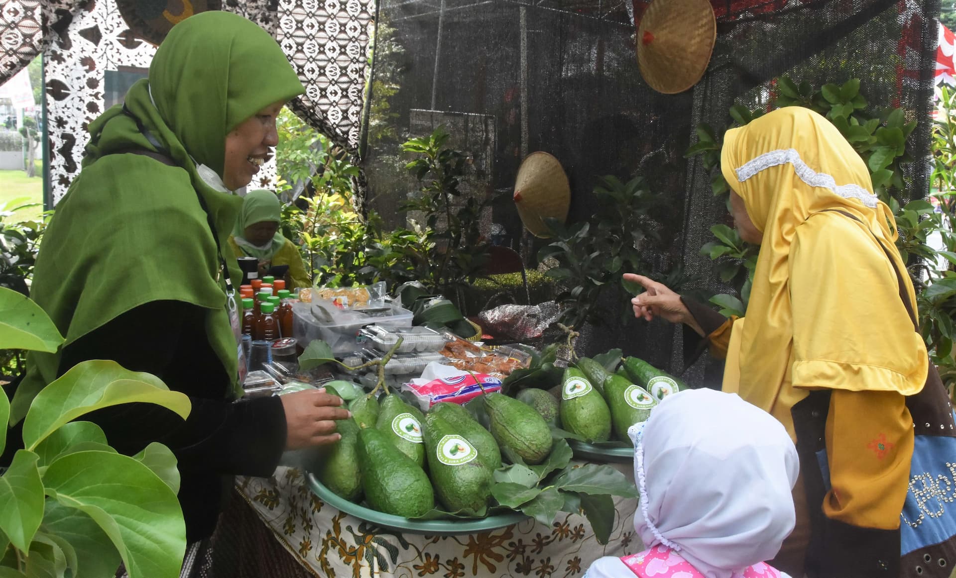 Pemkot Yogyakarta Ajukan Sertifikasi Tiga Varietas Buah Lokal: Alpukat Surokarsan hingga Pisang Gendruwo