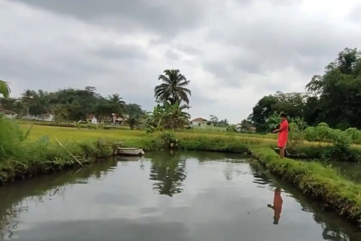 Peternak Ikan Tasikmalaya Berharap Air Sungai Bersih Usai Penangkapan Bos Tambang Galunggung