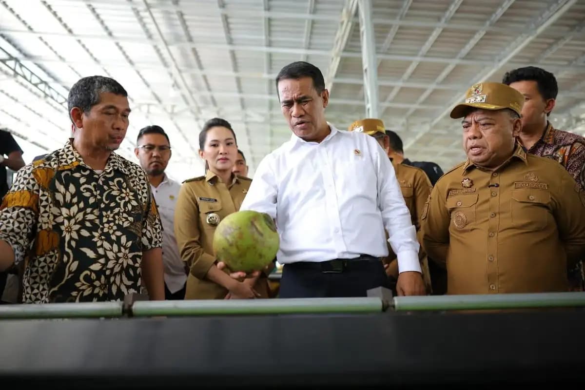 Kementan Siapkan 10.000 Hektar Lahan Kelapa di Maluku Utara untuk Perkuat Hilirisasi