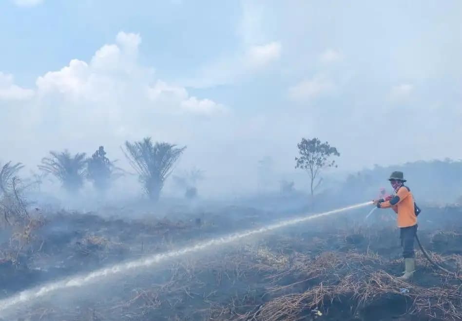 Karhutla di Riau Terkendali, Tinggal Tiga Daerah Masih Terbakar