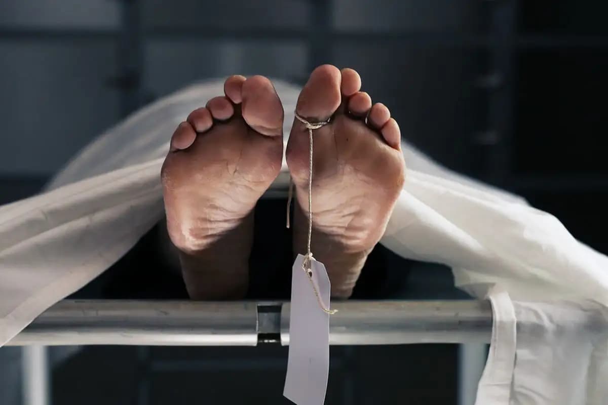 Motif Pembunuhan di Sambas Terungkap, Dipicu Tuduhan Meracuni Anjing Pelaku