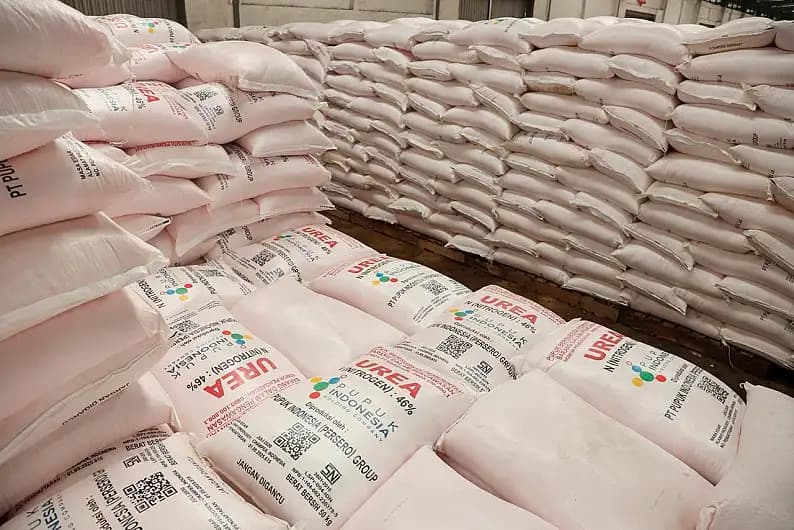 Pupuk Indonesia Cabut Izin 21 Kios Pupuk Subsidi di Aceh karena Langgar Harga Eceran Tertinggi